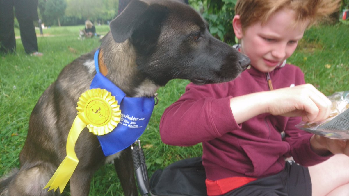 skye_rescue's tweet photo. Successful day! #DogFactor @AllDogsMatter #alphadogtraininglondon @ZasmanVet https://t.co/g6jGIbFlUV
