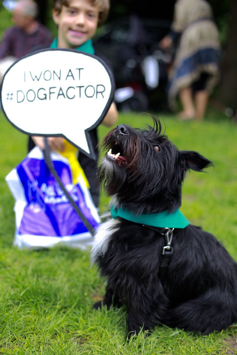 E5DogPhotograph's tweet photo. Another amazing #dogshow @AllDogsMatter #finsburypark #DogFactor - All photos coming soon🐾😎 https://t.co/y33ChPYSma