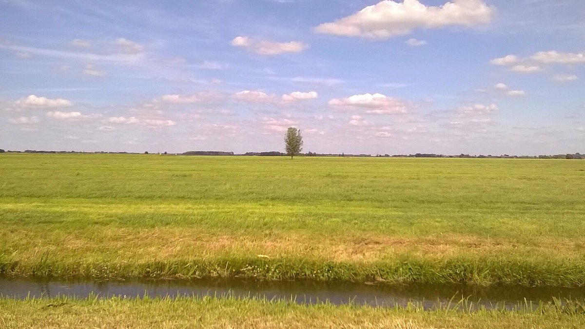 Fietsend in de polder...