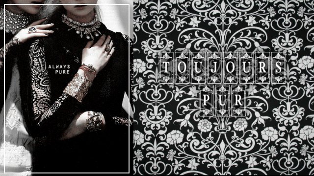 ❇️ "We'll teach just those whose ancestry's purest" ✳️

#HarryPotterRP
#ExperiencedWriter
#DetailedRP
#MaraudersEra
#ShipsWithChem /#Lucissa