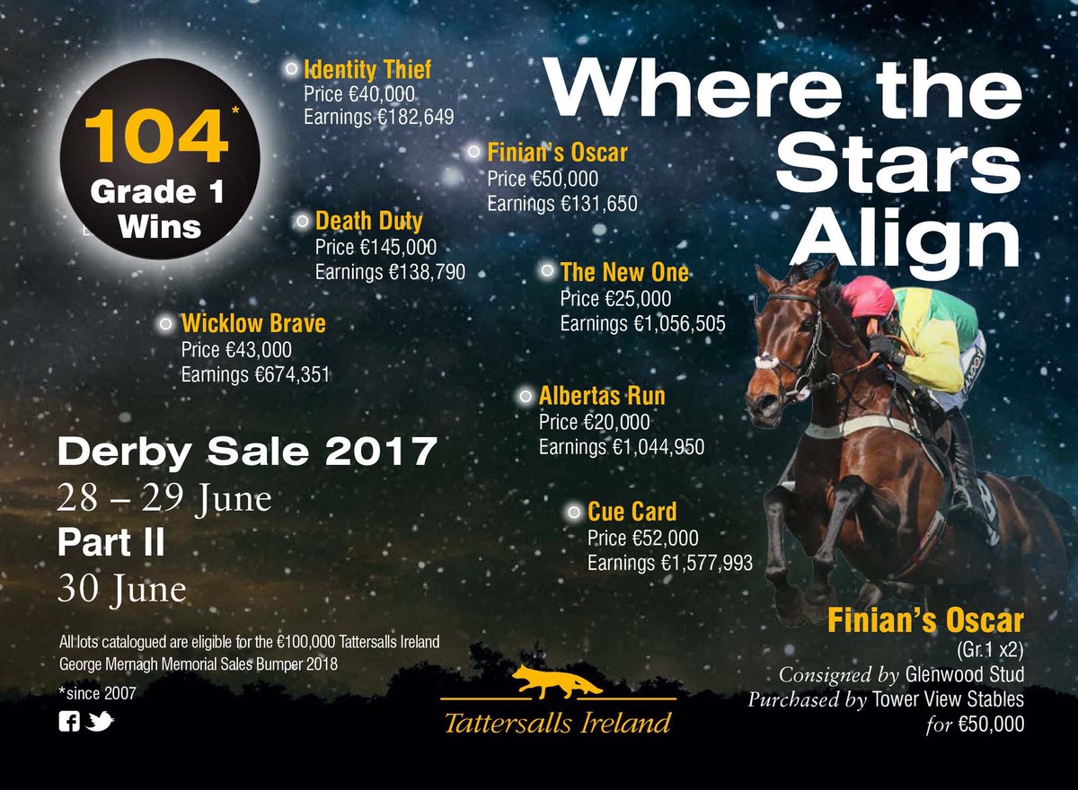 TomMaloneBloodstock tweet media