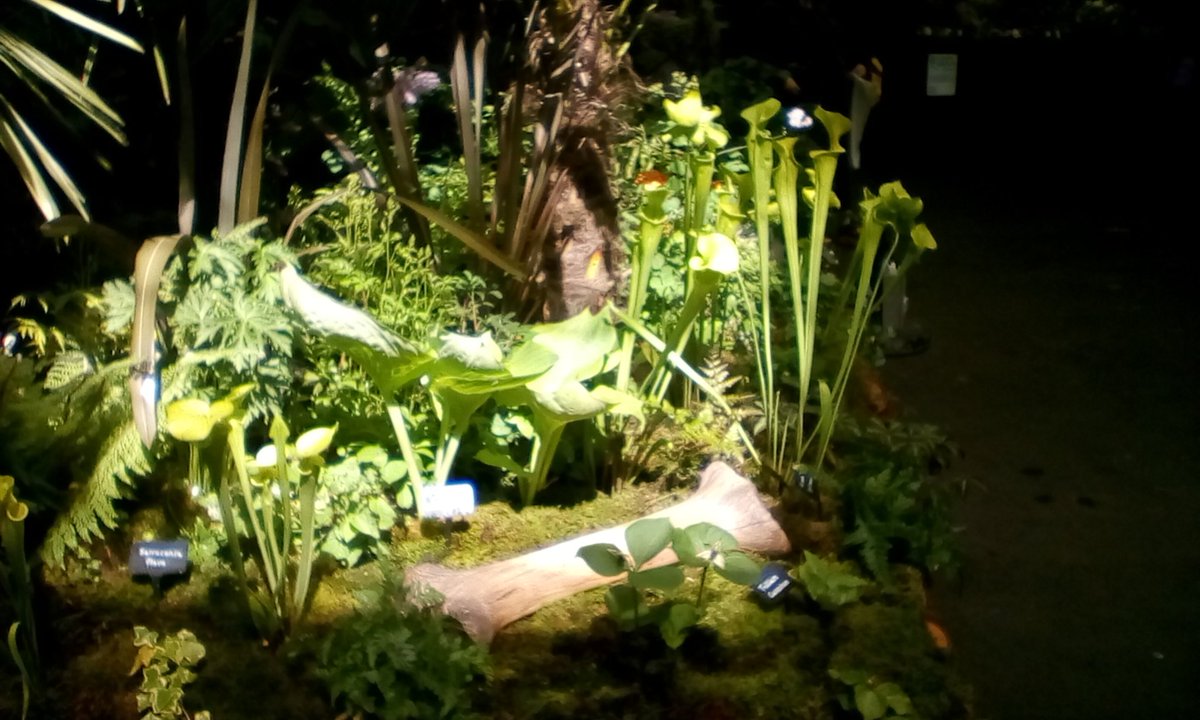 roceco's tweet photo. #GardeningScotland over for another year, #PrehistoricScotland dinosaurs heading back to Barry, its been ace! https://t.co/t1CxoBe2Bz