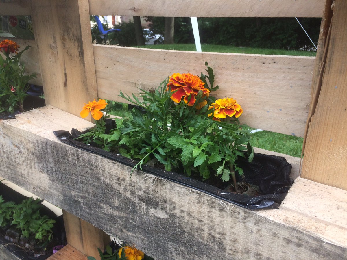 ChristyMearns's tweet photo. A fab day organised by @radialproject in @_the_hill_ today! I helped make a planter with FROGGS &amp; met the lovely @bottleofginger folks 👌 https://t.co/CKpa5CNPEw