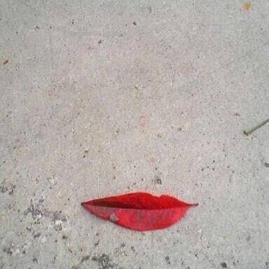 likemindedpeopl's tweet photo. Beauty is everywhere if you just look #SundayMorning #SundayFunday #sundaybrunch https://t.co/GjuqsUfZIo