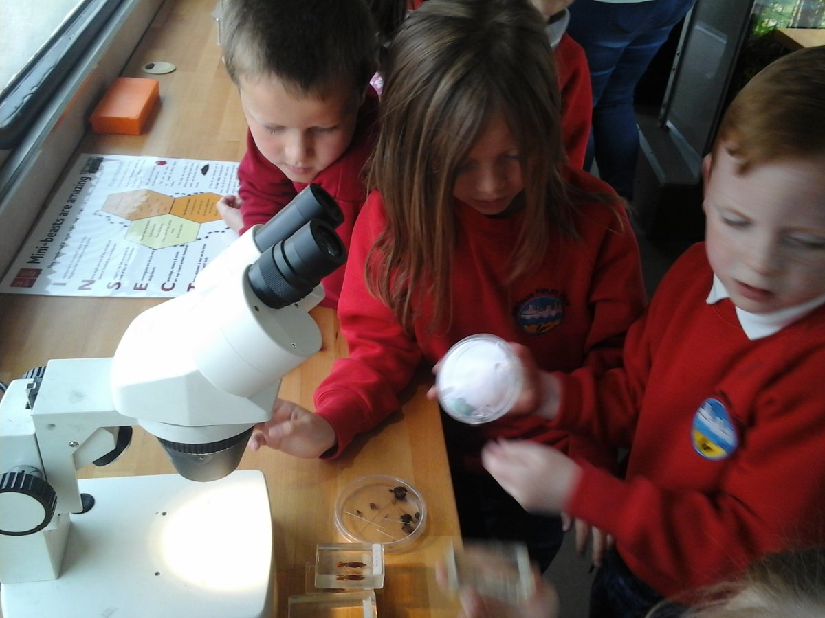 MissMcFarlaneP2's tweet photo. Workshop at the Science Centre https://t.co/ZaIsqBqEsL