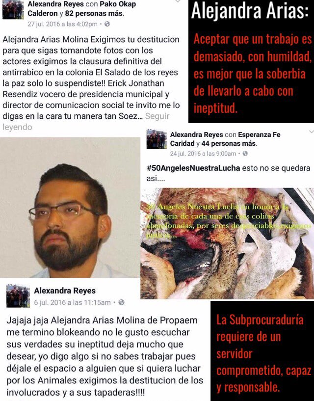 Buscando1amigo's tweet photo. @aleariasmolina @propaem_sma @ErnestoSispa @alezazulyoro @Eliza_SotoP @UribeMerle @SylviaPasquel @DefensaAnimal @APASDEM Confiamos n q el nuevo Gob. @edomex tendrá una visión responsable sobre las funciones d la Subprocuraduría d @propaem_sma y su representante https://t.co/mXxXNRq5aG