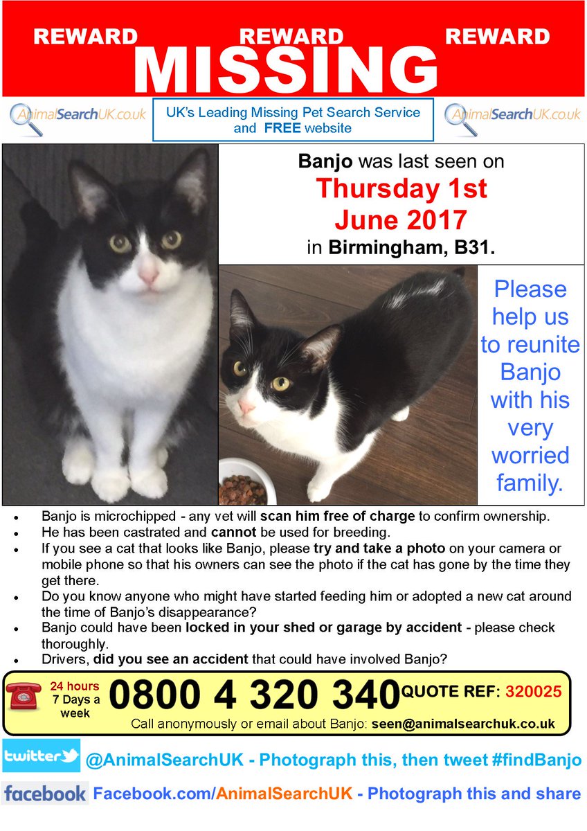 AnimalSearchUK's tweet photo. PLZ RT @ManorVetsToday @birminghampost @JustforPetsUK @YourVets24 #findbanjo #missingcat #birmingham https://t.co/CKNh3z0gel https://t.co/zvrzs3VJWr