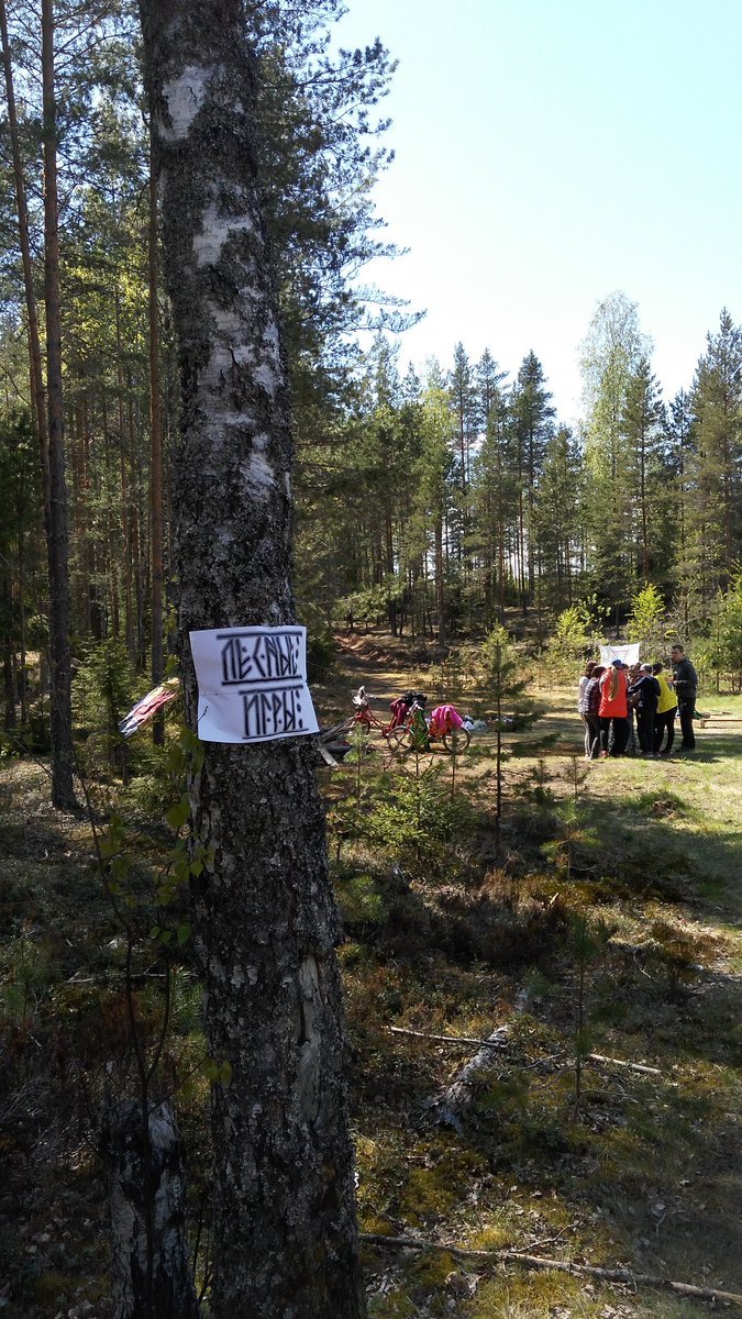 YMCA_SPb's tweet photo. Сегодня в поселке Вещево Ленинградской области в рамках #ymcachallenge прошел #Лесной_сбор2017 https://t.co/xXTst2hAx9