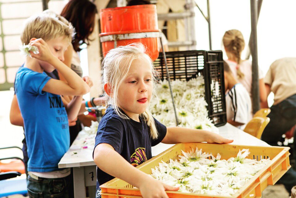 1e PinksterCorzonTAG! CorzonTAG jouw favoriete jonge bouwer, familielid van deze dahlialiefhebbers en/of <a href="/VeurMekare/">Veur Mekare?!</a>-lid! #bclv #CorzonTAG