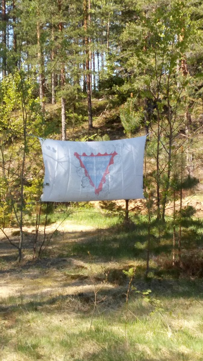 YMCA_SPb's tweet photo. Today #Forest_event2017 was hold in Veshevo (Leningradsky district)
It was connected with #ymcachallenge2017 https://t.co/fZLEodNoPL