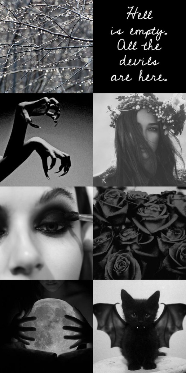 AgentAlaska_'s tweet image. 