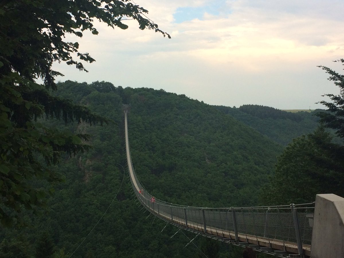 mtulloch11's tweet photo. The Geierlayschleife Bridge in Germany was beautiful... Finn is not a fan of heights https://t.co/9rpfFIVAS8