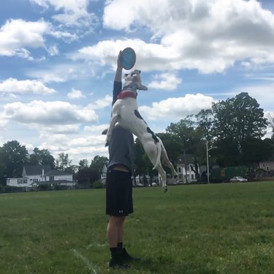 DIwolf83's tweet photo. #NewProfilePic https://t.co/nX62NvPsqA
