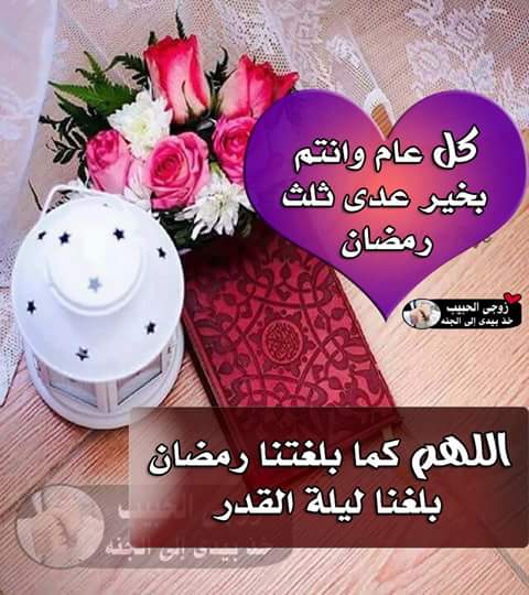 Sehhs Elmasry (@elmasrysehhs) on Twitter photo 