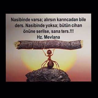 Gree Bart onam bilan porno