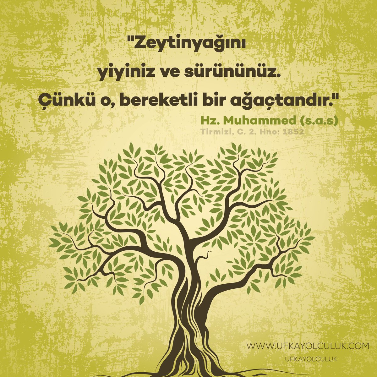 Hz. Muhammed (s.a.s) 🌹