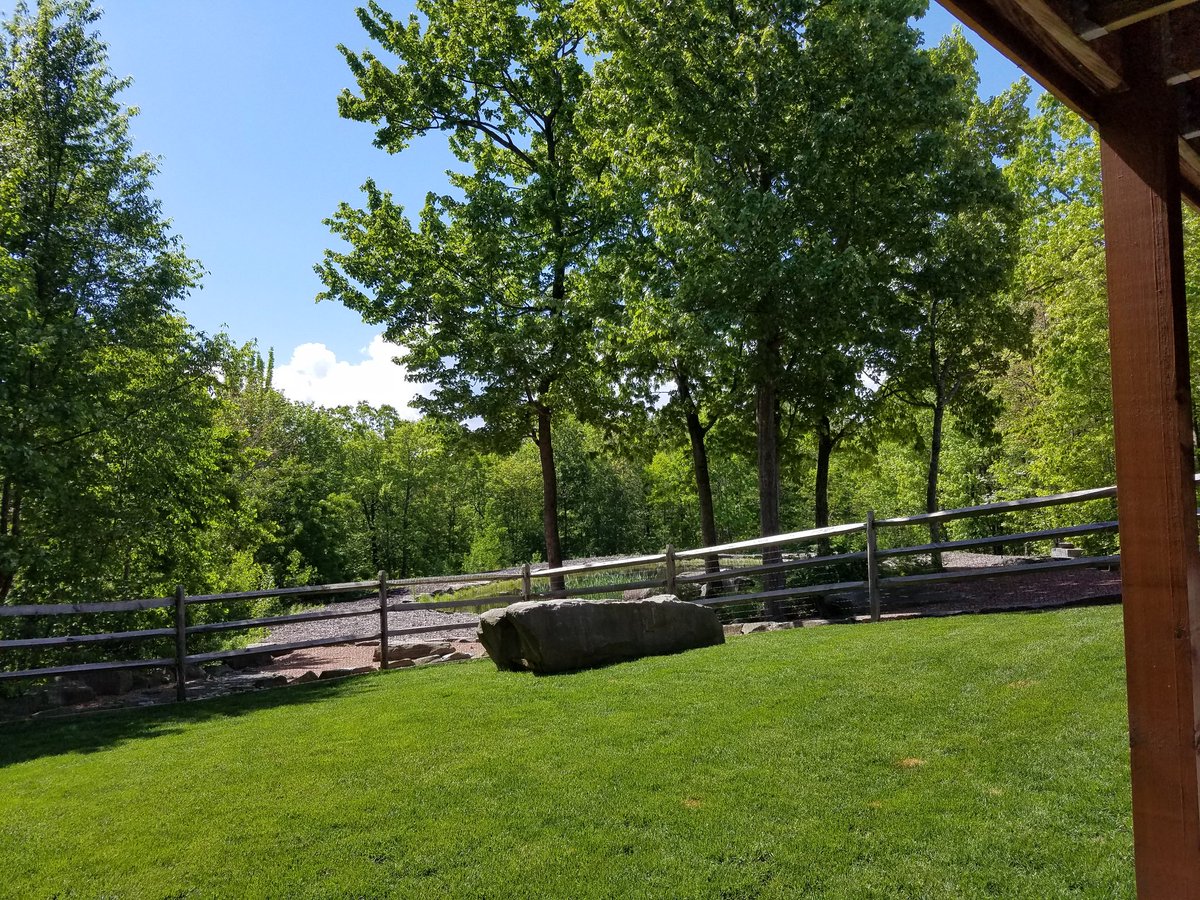 katmagick's tweet photo. #YARDMAX #SABERGRILL #GREATBACKYARDSWEEP https://t.co/vzXiyE9SPV