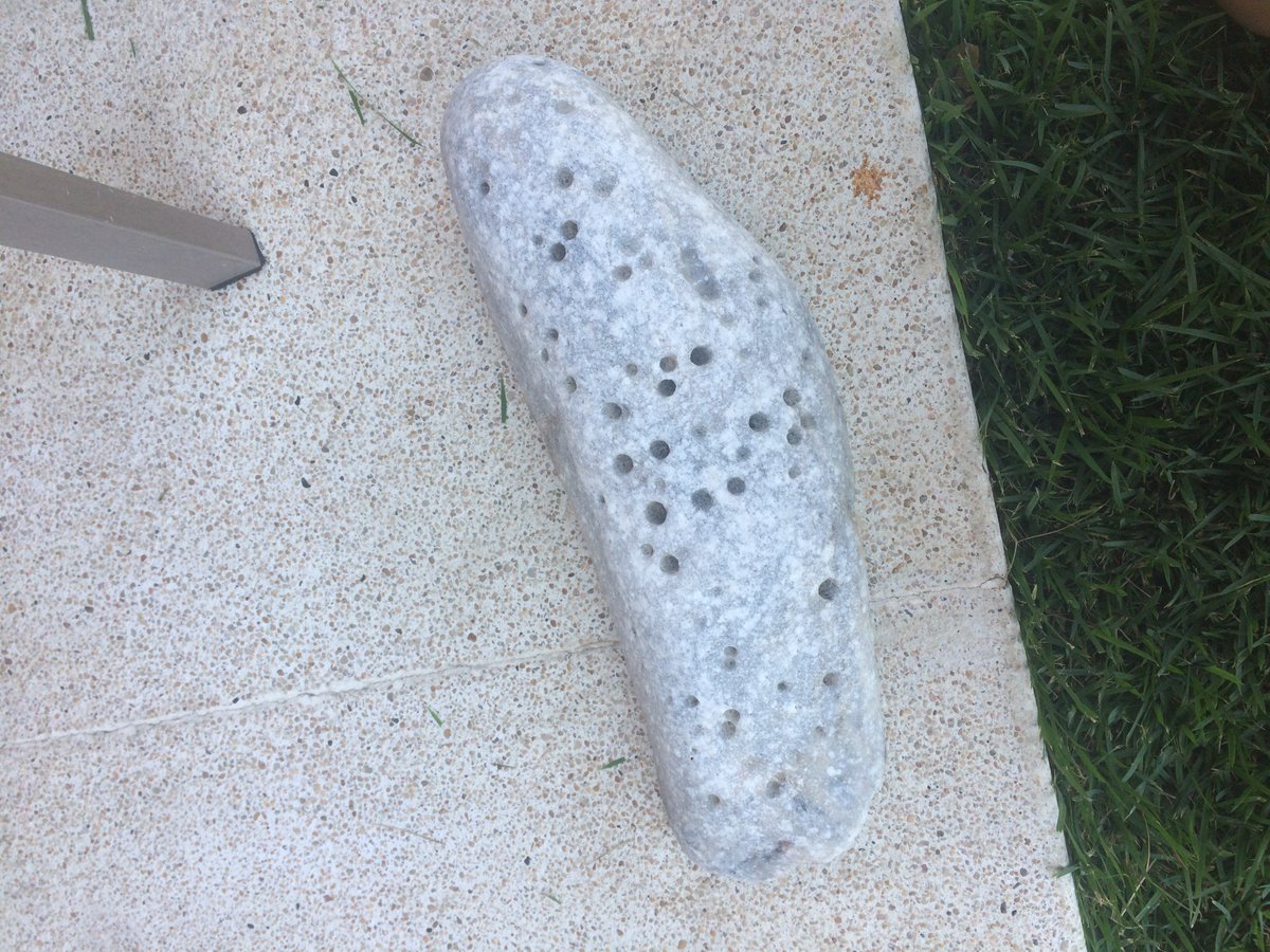 XZombiexRoseX's tweet photo. @AskTSA can I carry on my cool rock? https://t.co/ULAsUvADrQ