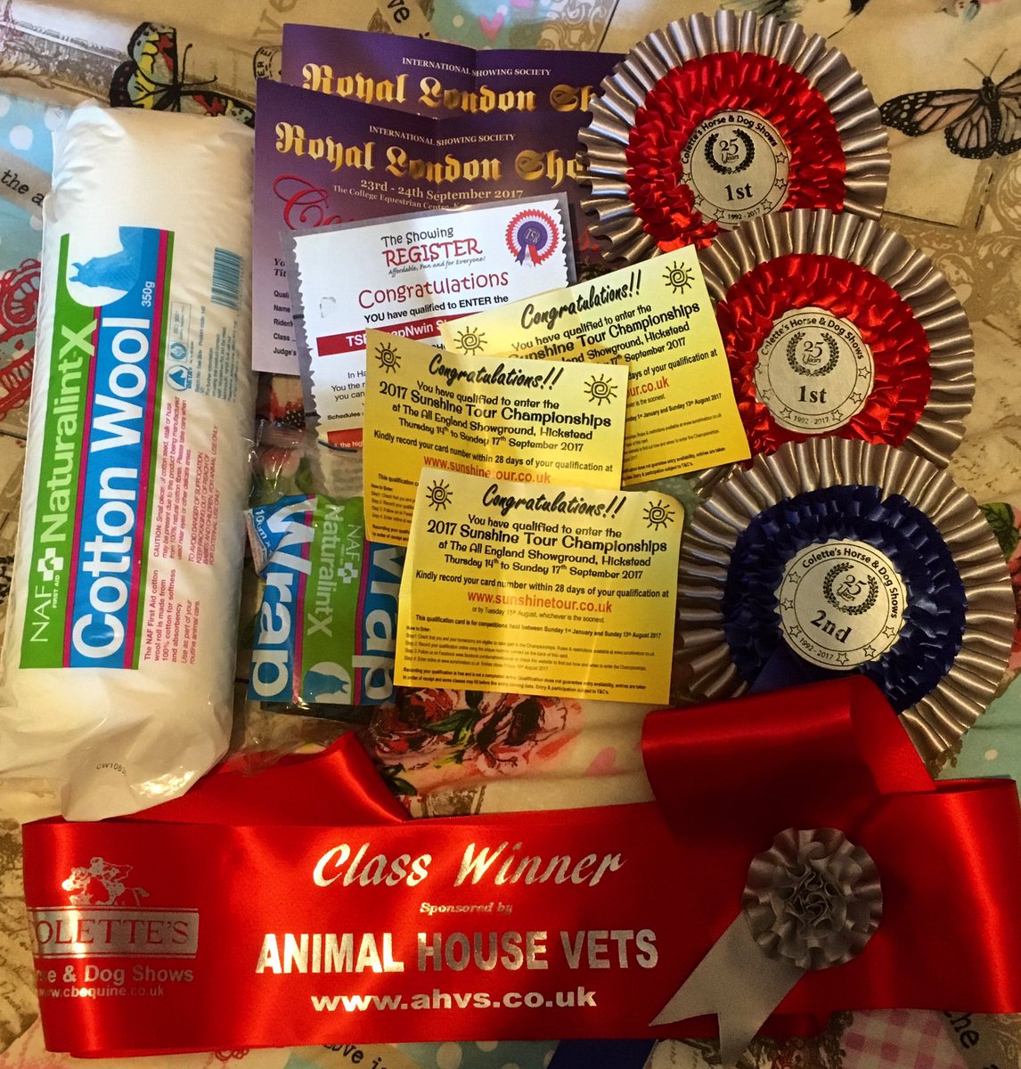 Ever so slightly late for <a href="/EquineHour/">#EquineHour</a> - been on the airport run ✈️ but went to a show today and Zebedee did amazing 🎉 #equinehour