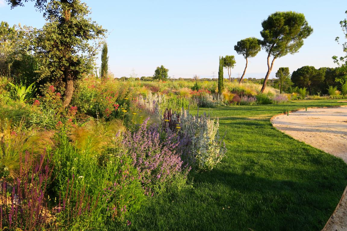 FincaAstilbe's tweet photo. y así están de bonitos nuestros jardines!! @FincaAstilbe  #bodas #Eventos #eventosmadrid #Madrid https://t.co/39z2Ke0tYN