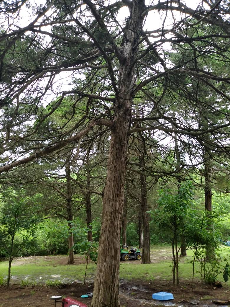 A little nature time this Sunday afternoon at the 12 acres. #sunshinelovers #summeriscoming 🌞