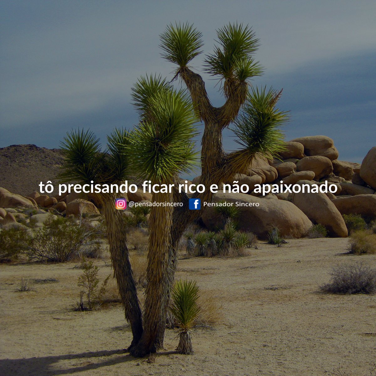 Pensador Sincero tweet media
