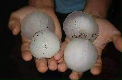 Böyle sini gördünüzmü