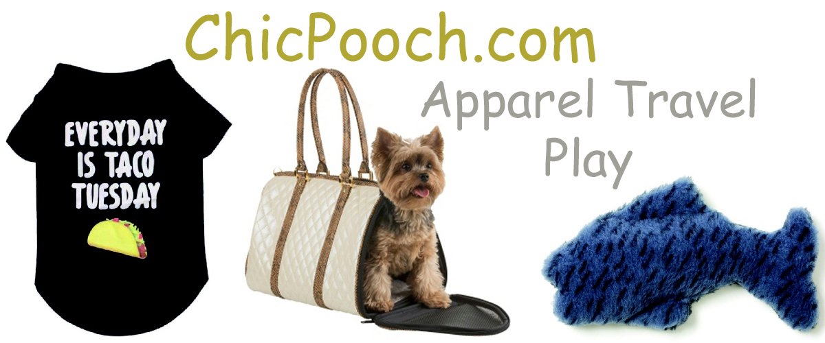 ChicPoochStore's tweet photo. Apparel,Travel, Play - https://t.co/HAuZGPA8XN #Dogs #Dog
#DogToys #DogCarriers, #DogApparel #ChicPooch 💚 https://t.co/jxOsv4LBoe