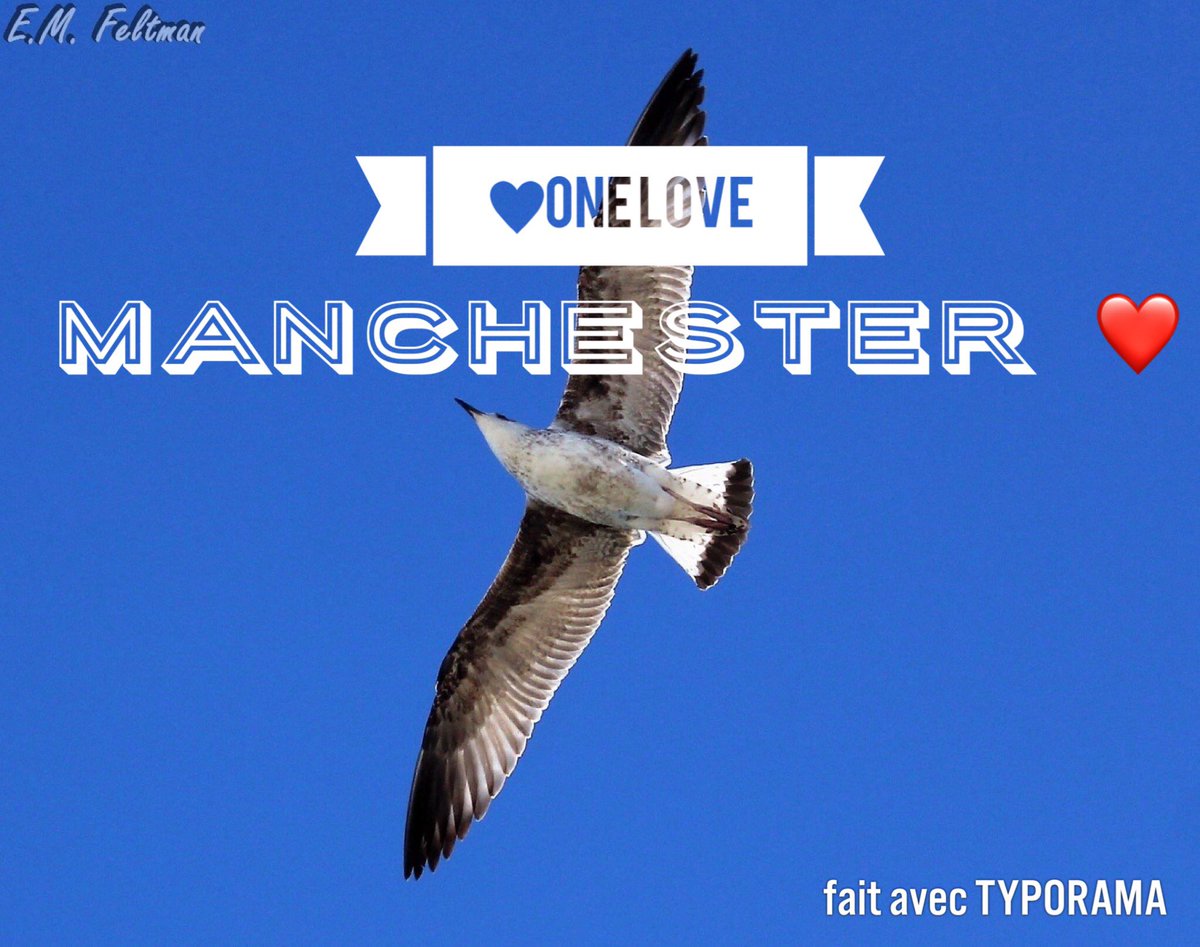 Great concert! Really great! A victory of love! #OneLoveManchester