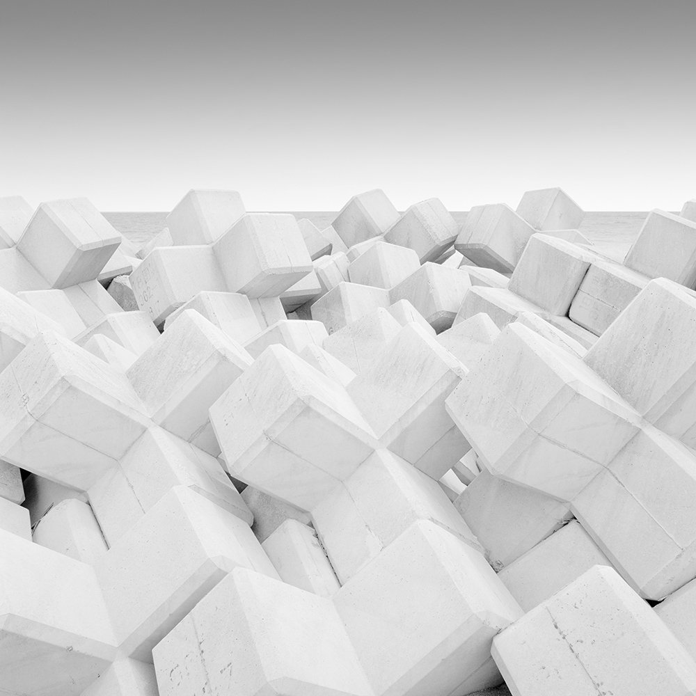 city_wander's tweet image. structures
#MichaelLevin