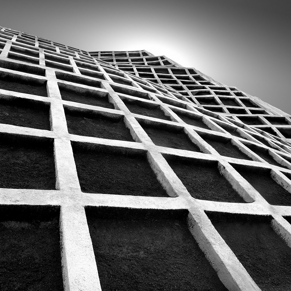 city_wander's tweet image. structures
#MichaelLevin