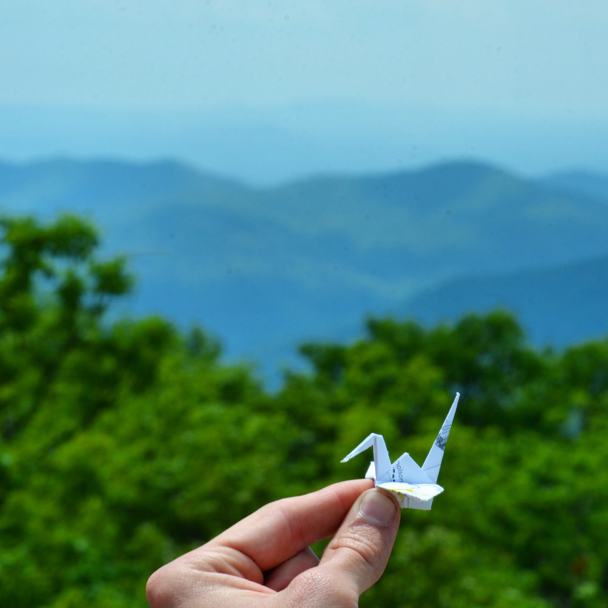 EZ Origami tweet media
