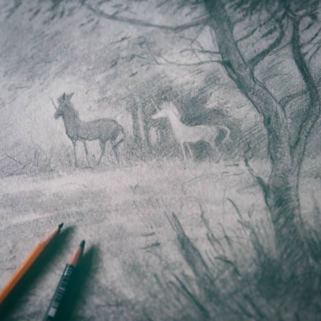 It's a nice drizzly day to draw unicorns by - might paint this later.
#unicorns #art #drawing #sketching #illustration #fantasy #pencils #n…
