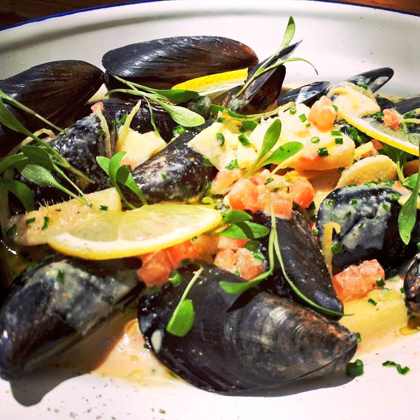 tana collados tweet media