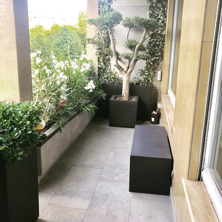 AM Casali: #sempione #terrazzo #pavimentazionegreskeope #oleaeuropeaplato