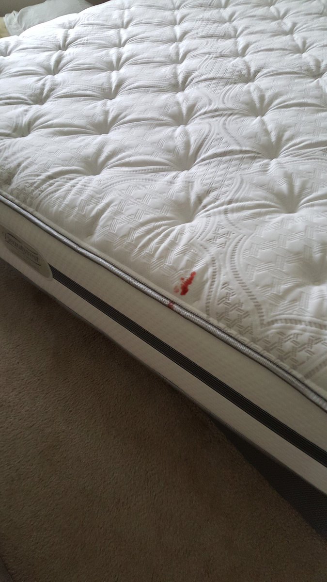 car_stein's tweet photo. How about some blood with your new $1300 mattress? @MattressFirm https://t.co/xmBja01N0c