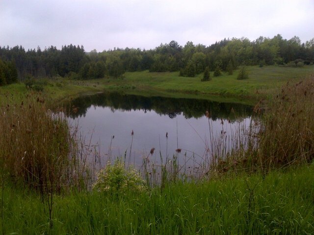 Alex_Maycock's tweet photo. A great morning distance #skiwalk on the @BruceTrail_BTC. https://t.co/FHoOPyHoqT