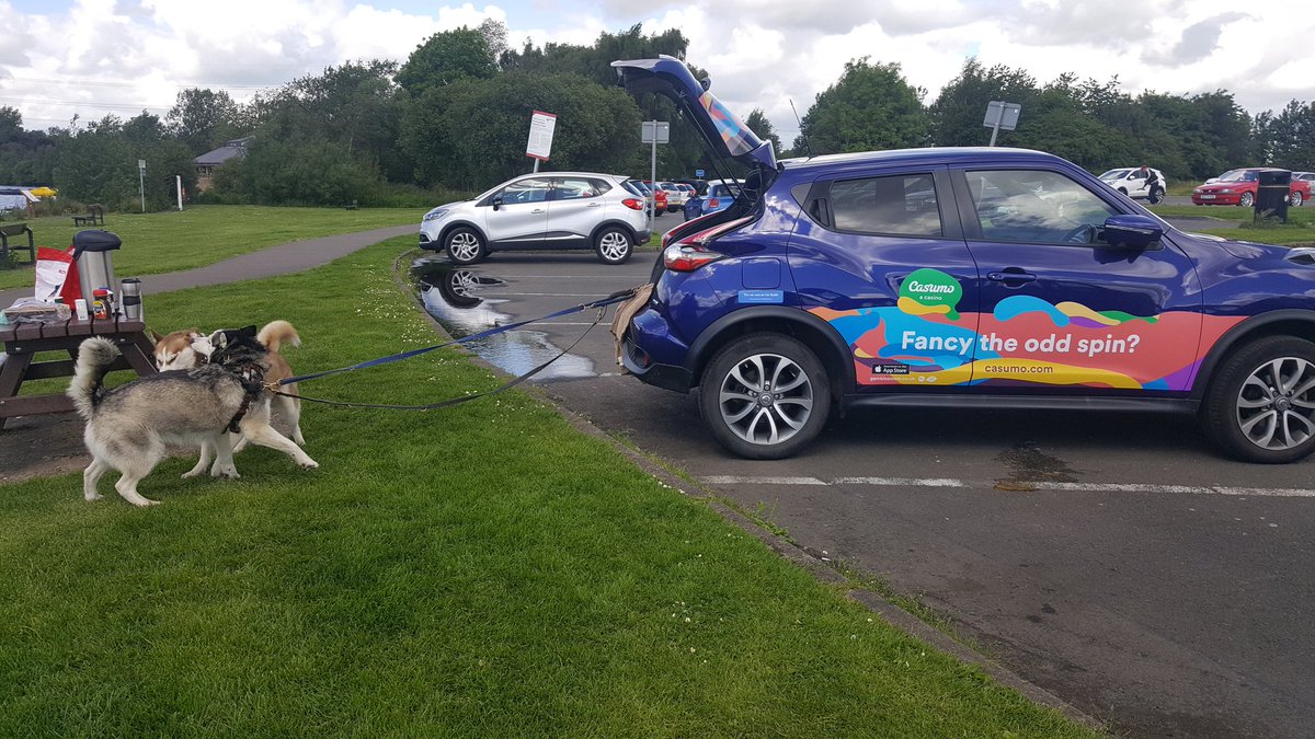 HarleyRodger's tweet image. A day out with the pups promoting @CasumoCasino @CarQuids