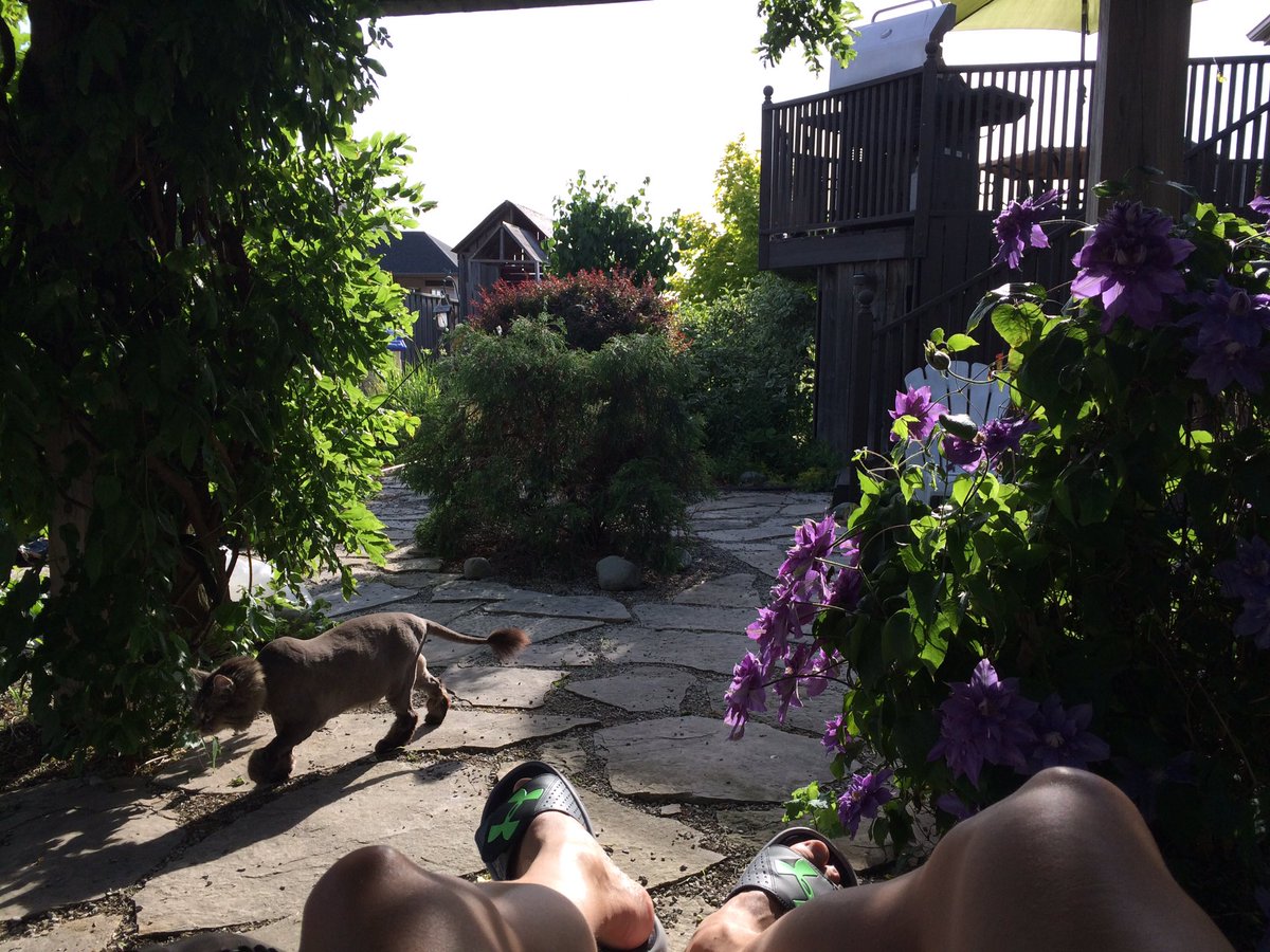 ScottTousignant's tweet photo. There's magic all around me. Soaking it all in. #LifeisBeautiful https://t.co/fnjwQPKO7M