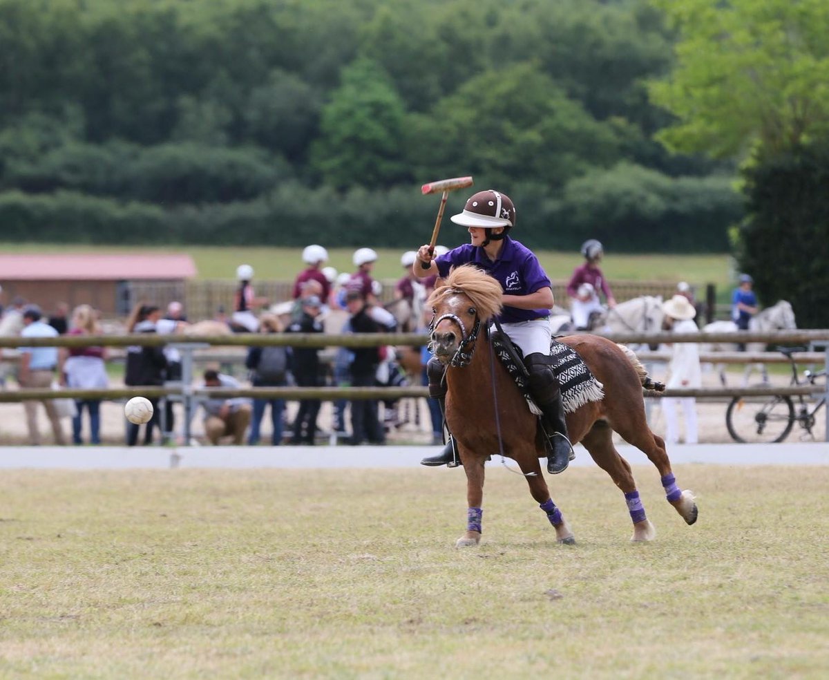 Fédération Fr Polo tweet media