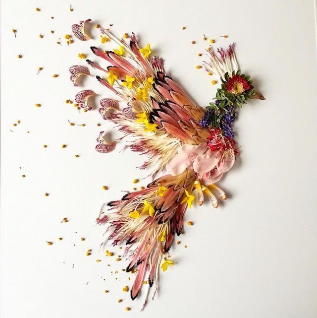 fubiz's tweet photo. Playing with Flowers https://t.co/cpkH4vbHHu https://t.co/4fDvvvQz6O