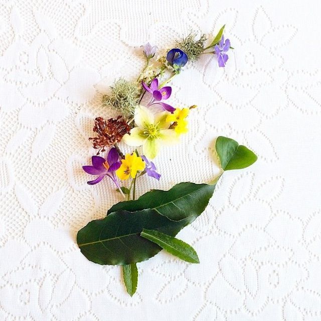 fubiz's tweet photo. Playing with Flowers https://t.co/cpkH4vbHHu https://t.co/4fDvvvQz6O