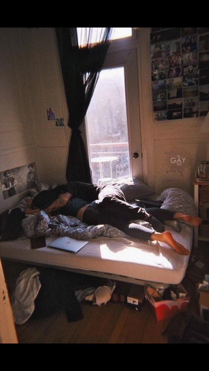 LarrysHoe28's tweet photo. Lazy Sunday 💙💚

© @Itsgaytiss https://t.co/3WQKVSbeI8