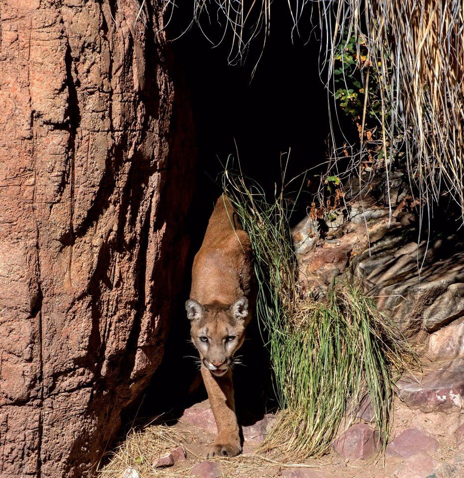 Good morning Twitterworld. Lovely new week for all.😊☀️😘