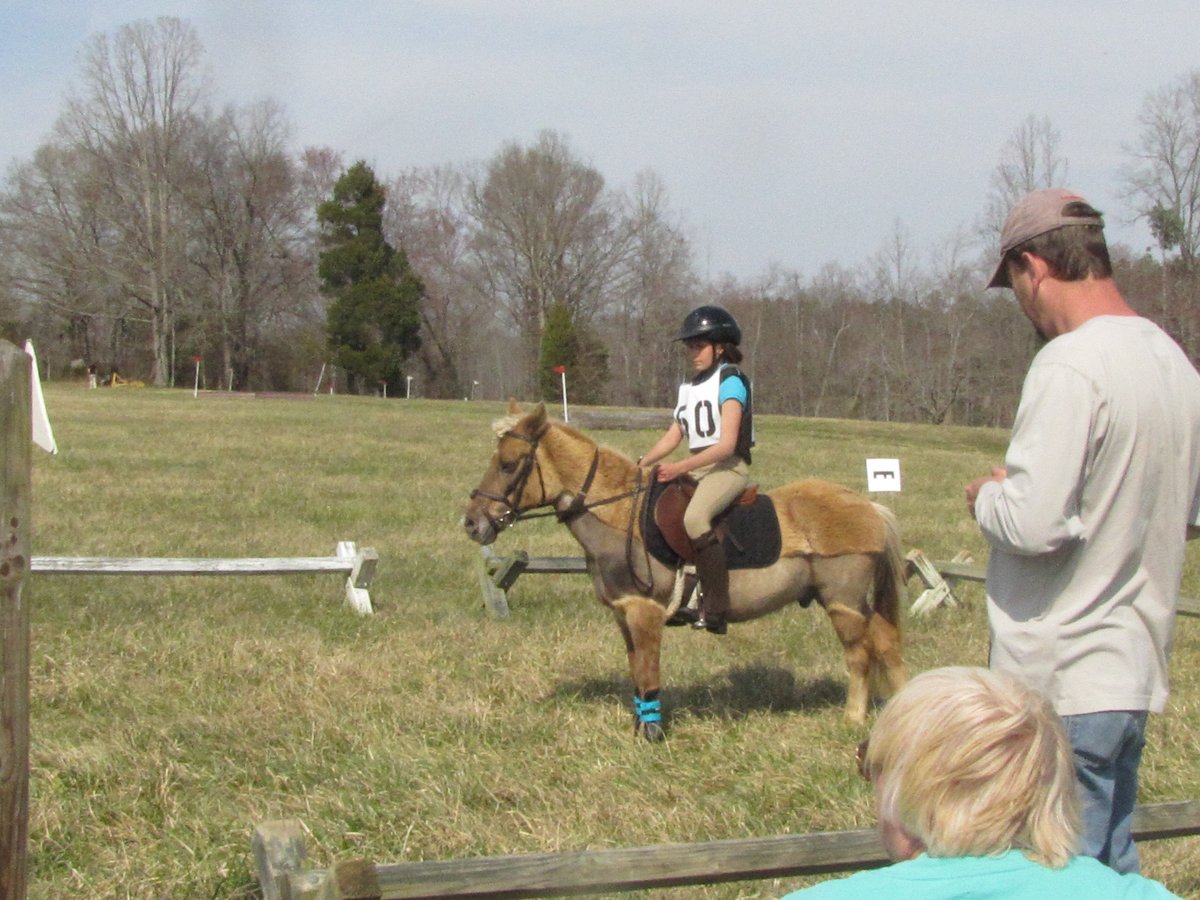 castlefarm tweet media