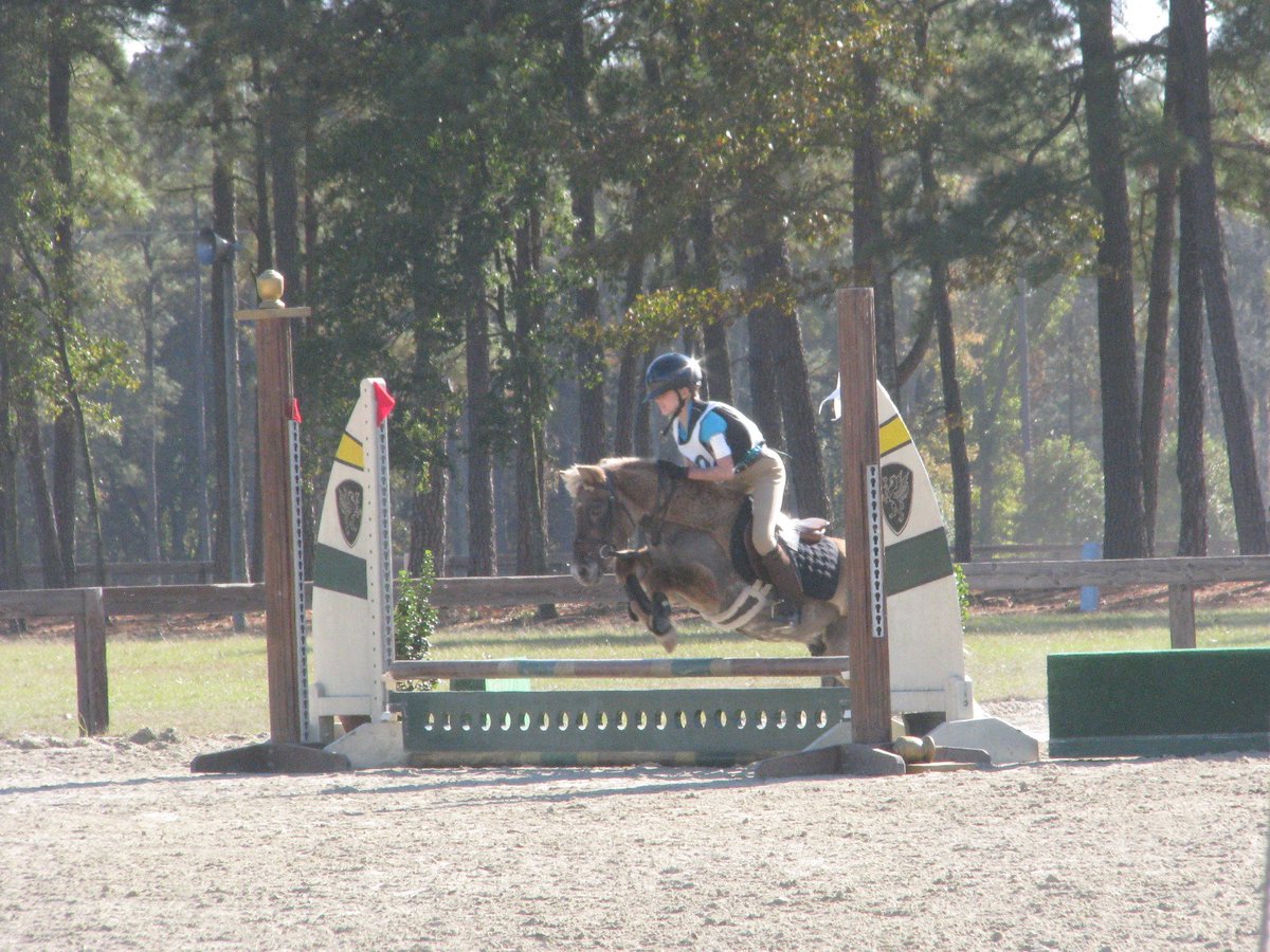 castlefarm tweet media