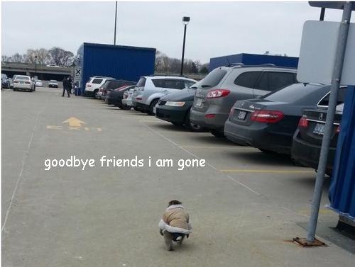 🥀Pipedream 11-17🥀 tweet media