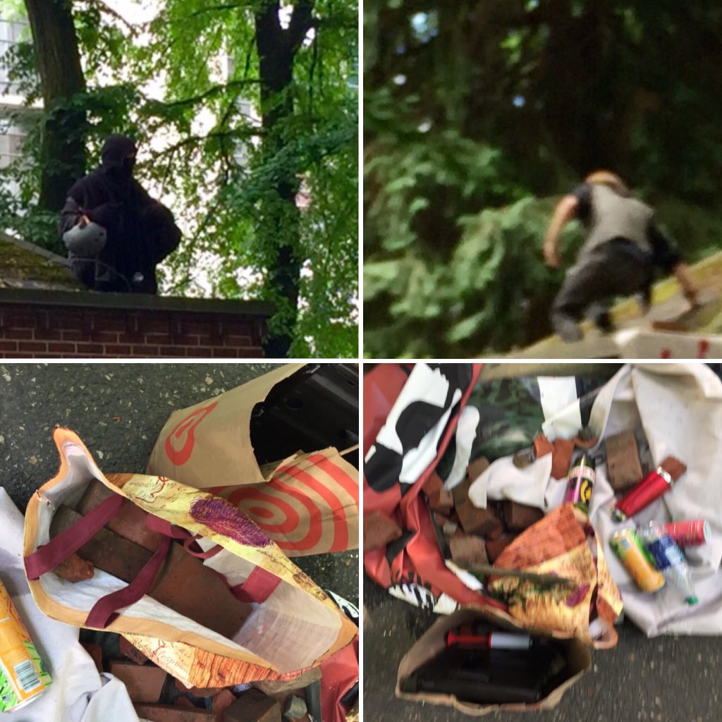 View image on Twitter