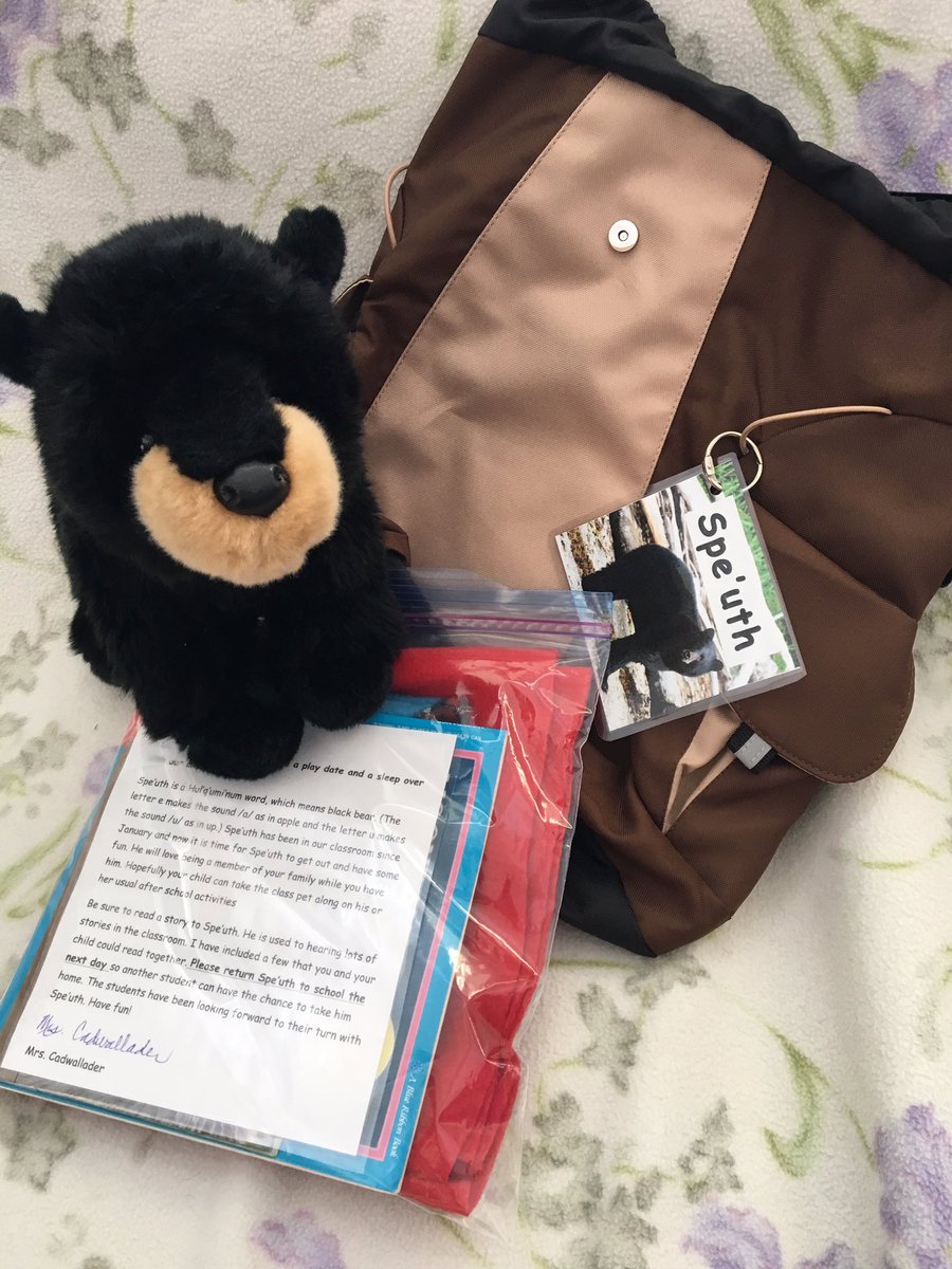 Ted Cadwallader On Twitter Kindie Story Backpack Comes W Bear