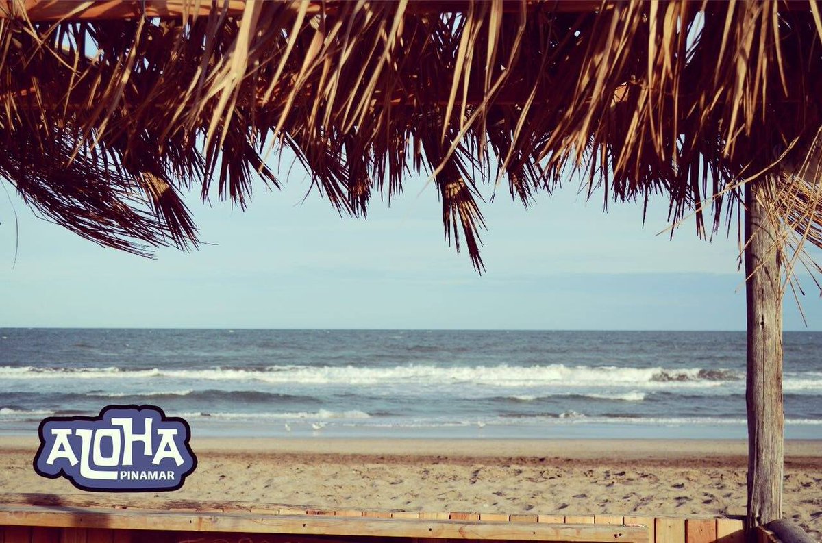 UnLugarPinamar's tweet photo. Mañana al cole y en el único lugar que queremos estar es en Pinamar! 
Ya pensaste un nombre para tu Banda? #PinamarConAloha https://t.co/Z35fXVL8ro